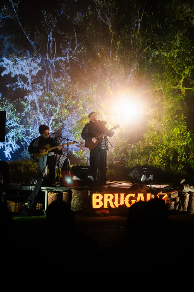 Música en vivo entre los árboles